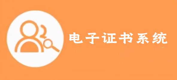 电子证书系统：自建数据库证书查询系统