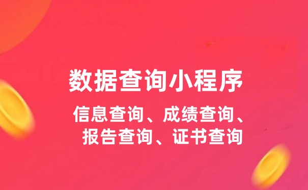 数据查询小程序制作