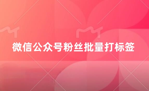 粉丝批量标签